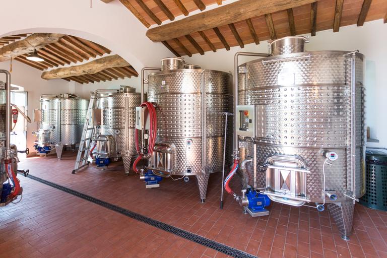 Wine from Cortona - Arezzo – Tuscany - Cantina Canaio