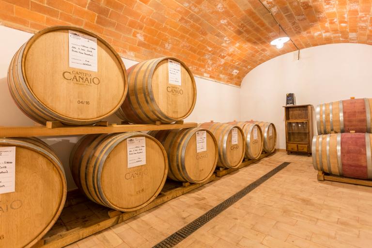 Wine from Cortona - Arezzo – Tuscany - Cantina Canaio
