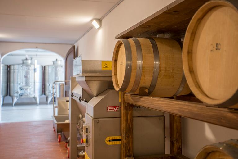 Wine from Cortona - Arezzo – Tuscany - Cantina Canaio