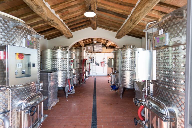 Wine from Cortona - Arezzo – Tuscany - Cantina Canaio