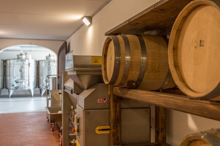 Wine from Cortona - Arezzo – Tuscany - Cantina Canaio