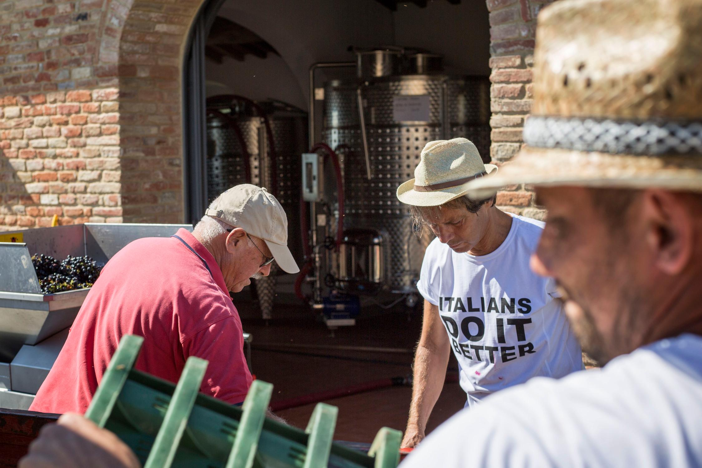 Vino Cortona - Arezzo – Toscana - Cantina Canaio