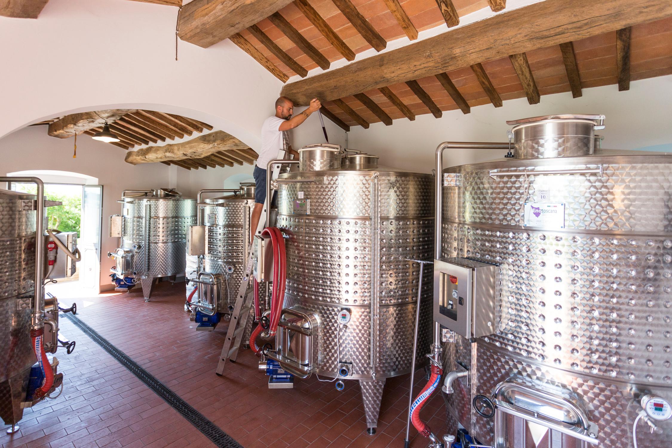 Wine from Cortona - Arezzo – Tuscany - Cantina Canaio