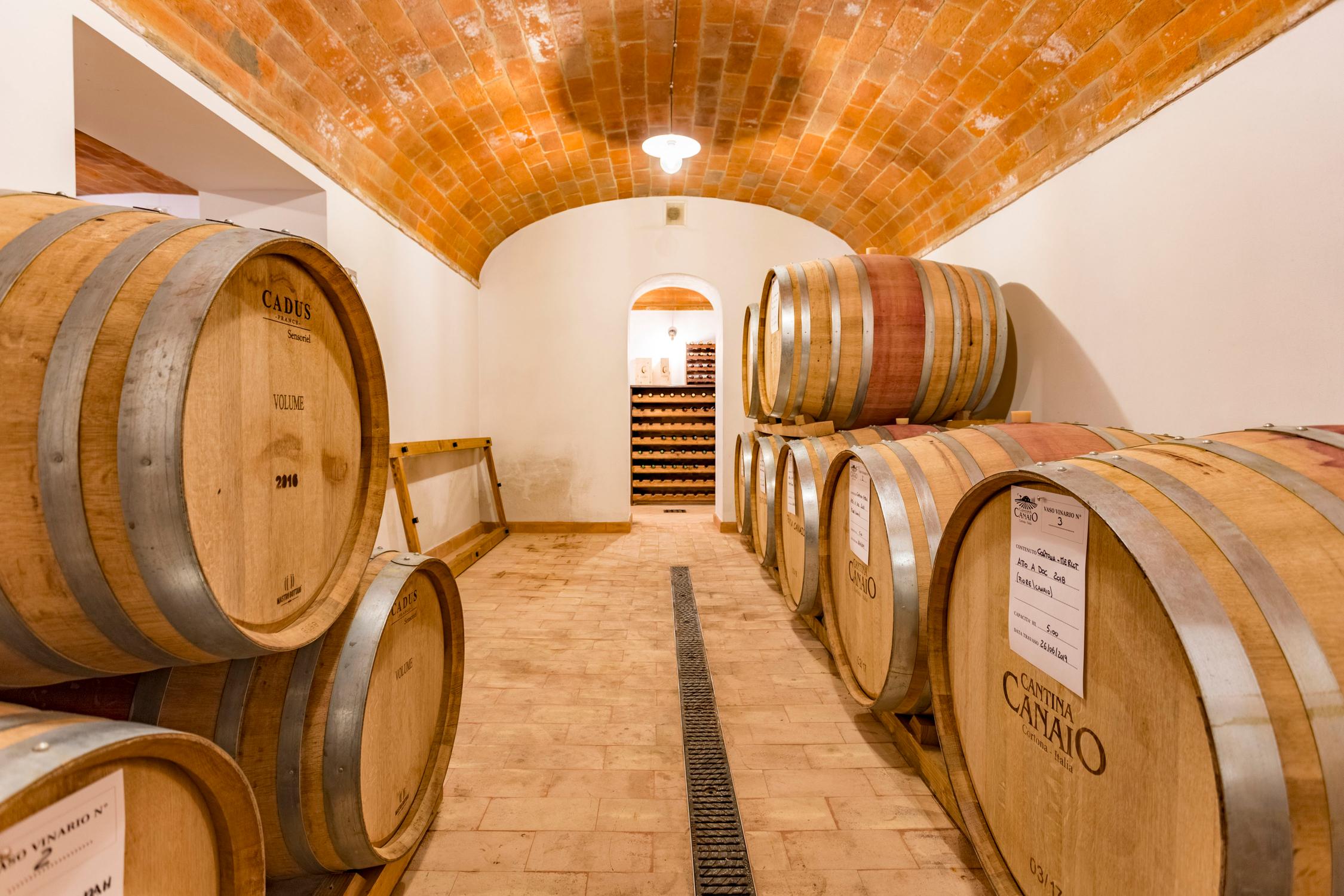 Wine from Cortona - Arezzo – Tuscany - Cantina Canaio