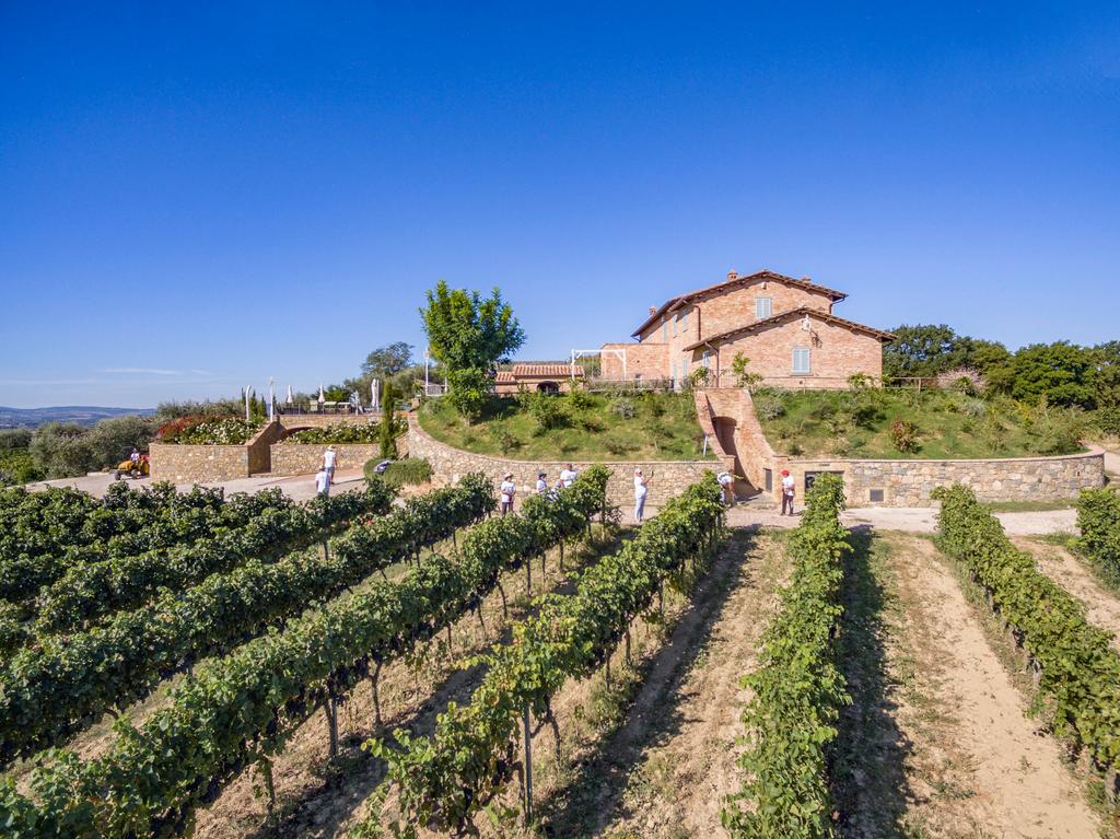 Contatti dell'azienda agricola Cantina Canaio | Syrah Cortona, Toscana