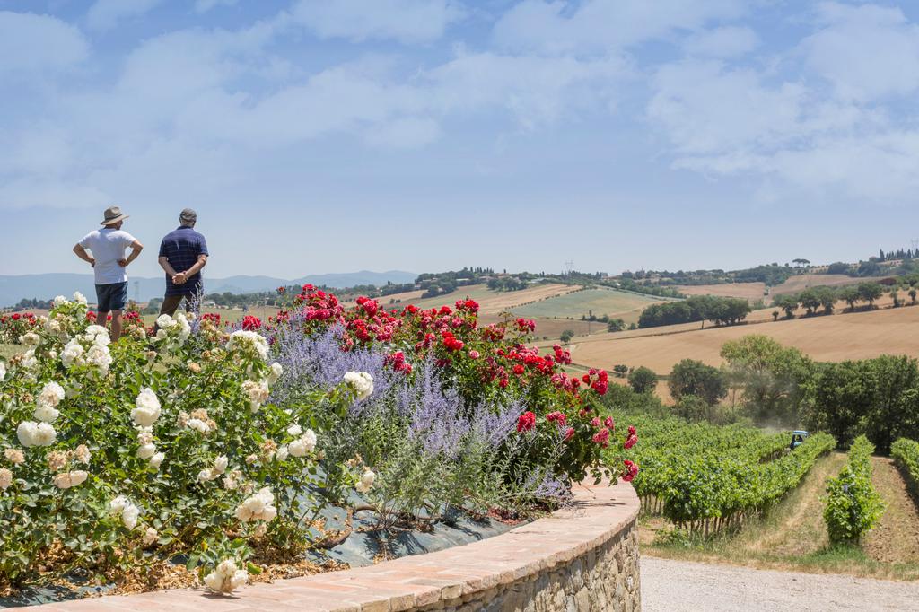 Contacts of farm Cantina Canaio | Syrah Cortona, Tuscany