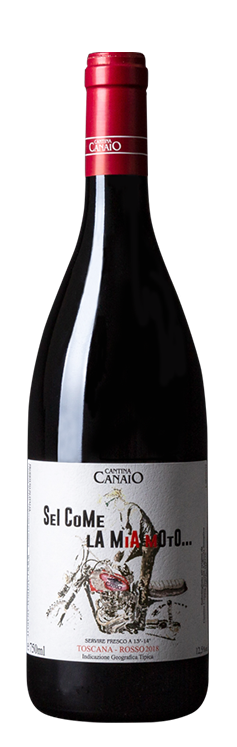 Cantina Canaio - Cortona Syrah - Cortona DOC wines, Tuscany