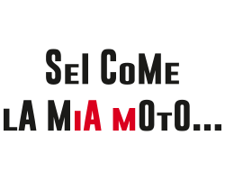 Cantina Canaio, Tuscan wines | Cortona Syrah and Merlot